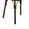 Industrial Style Set of 2pcs Dining Chairs Metal Frame Natural Elm, Bronze Wooden Contour Seat Kitchen Dining Room Furniture